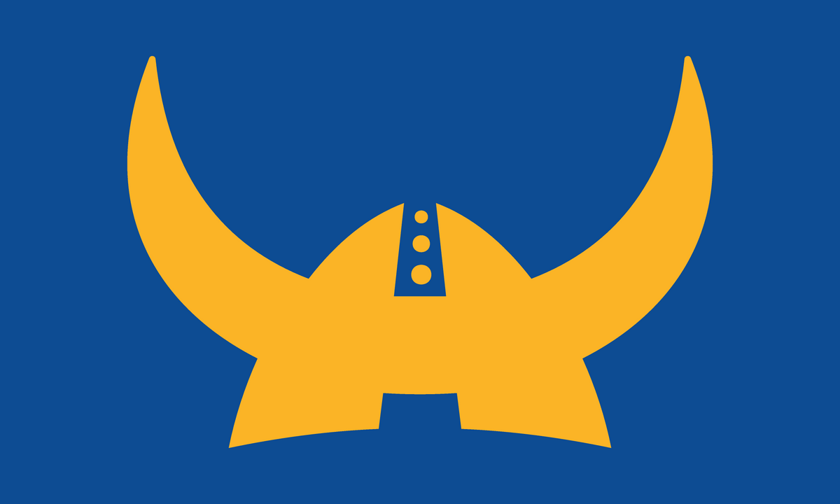 2026 School Flag Preorder Custom — Hilo Vikings