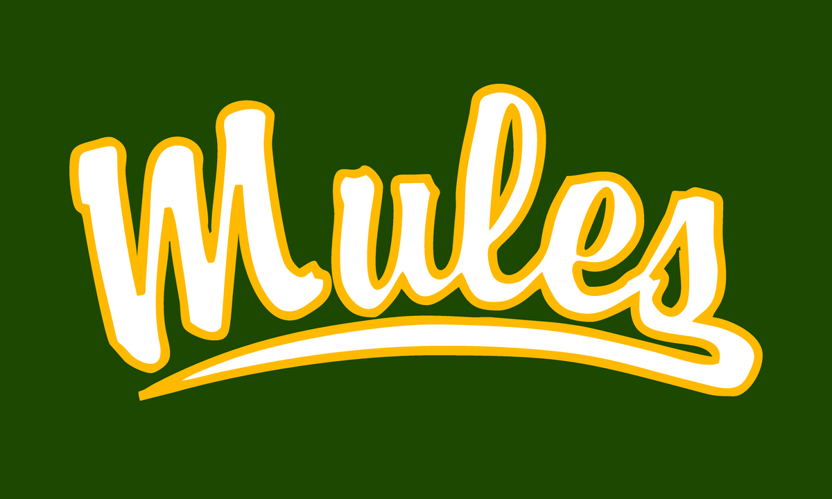 2026 School Flag Preorder Custom — Leilehua Mules