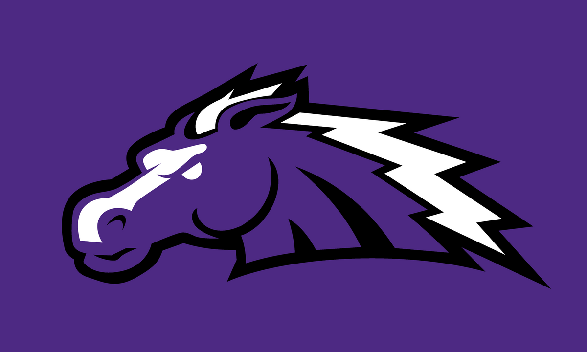 2026 School Flag Preorder Custom — Pearl City Chargers